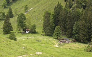 Staudacher Alm Staudacher Alm
