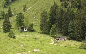 Staudacher Alm