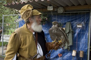 Bussard am Arm